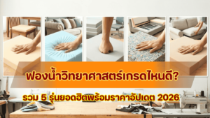 คลังสินค้าฟองน้ำวิทยาศาสตร์เกรดช่างและอุปกรณ์เฟอร์นิเจอร์ Golden Dragon PVC