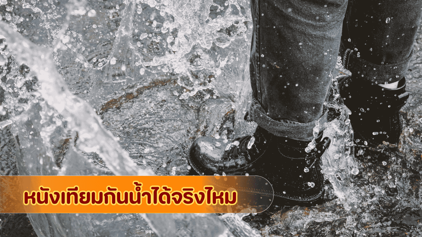 ไขข้อข้องใจหนังเทียมกันน้ำได้จริงไหมและนวัตกรรมบล็อกความชื้นสำหรับเฟอร์นิเจอร์